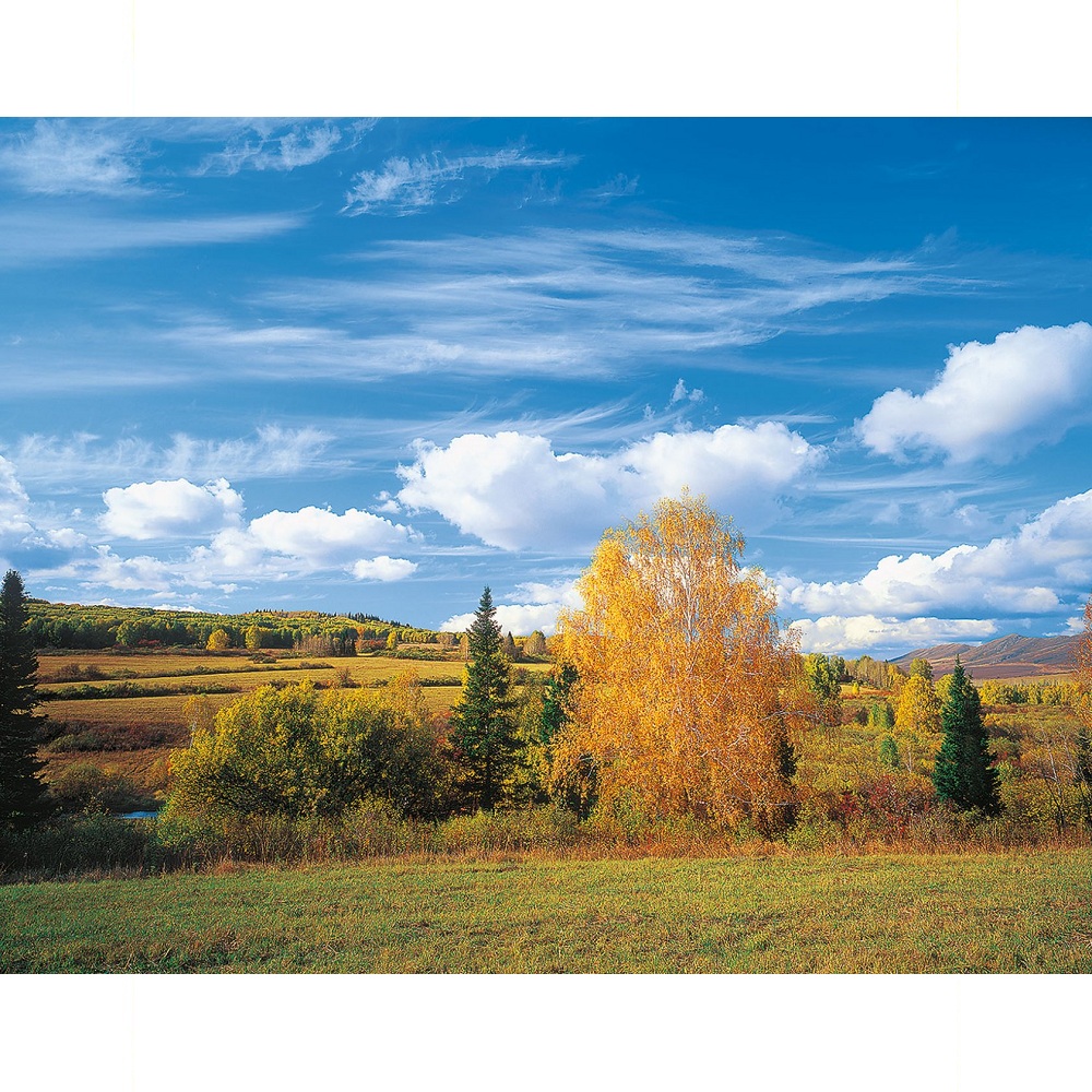 Kupit Fotooboi Tula Rodnye Prostory 9 V Karagande I Nur Sultane Strojdekor