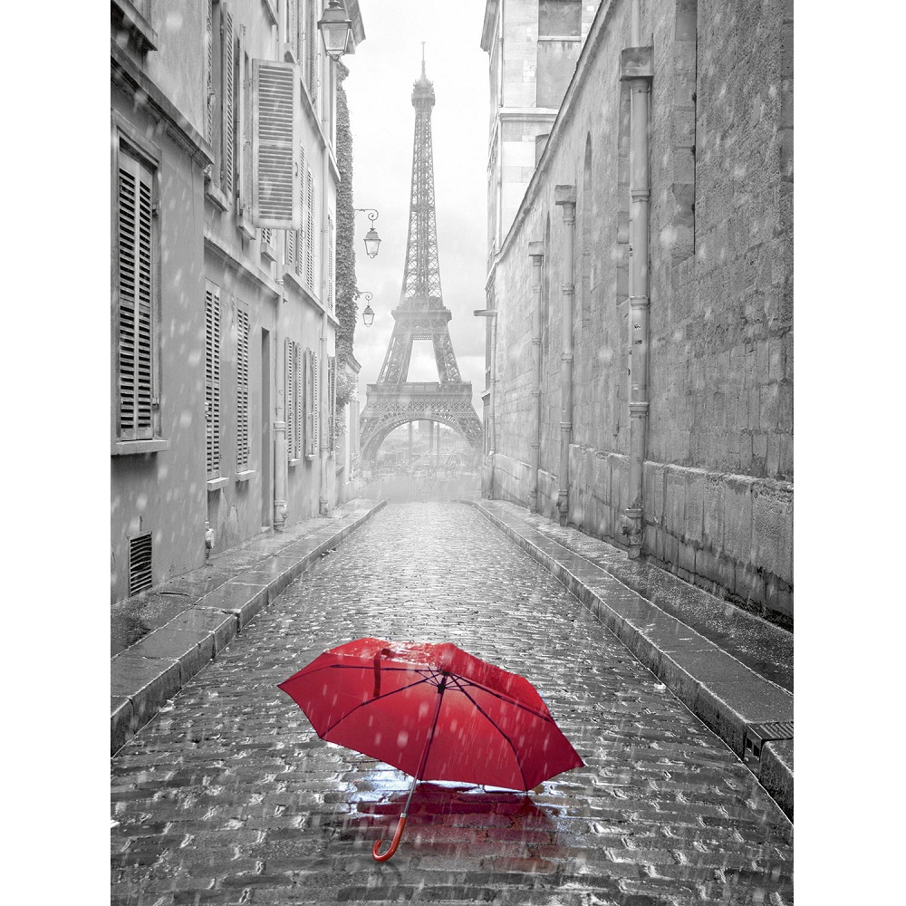 Фотообои Тула VIP Парижский дождь 8