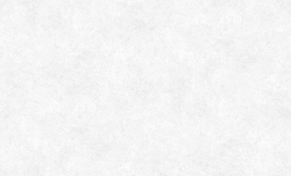 Обои Erismann Profi Deco Veter 60560-02