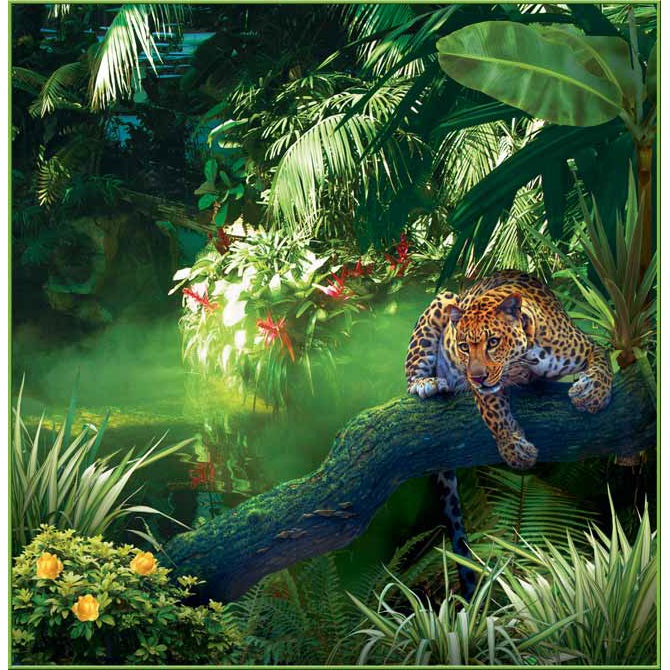 Тула Джунгли 6