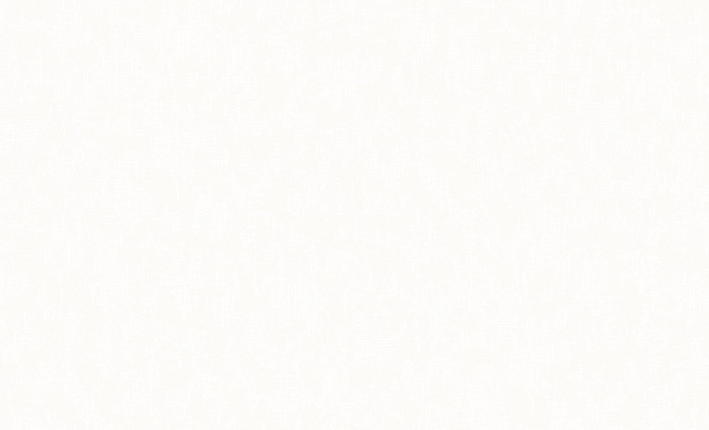 Обои Erismann Profi Deco Veter 60560-02