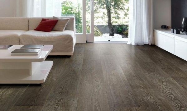 8929b43987b69e48d9ae9815e4c4338a.jpg 8929b43987b69e48d9ae9815e4c4338a.jpg